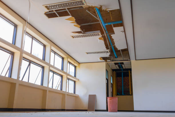 Best Sewage cleanup and water damage restoration  in Lukachukai, AZ