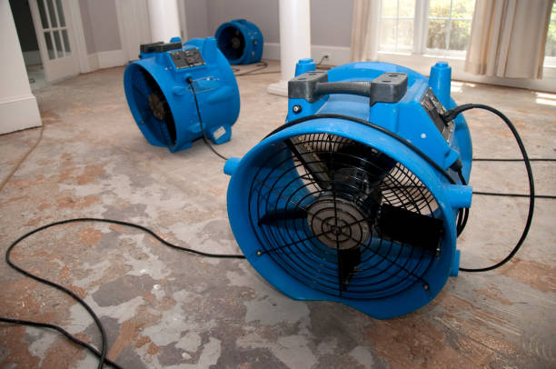 Best Emergency water damage restoration  in Lukachukai, AZ