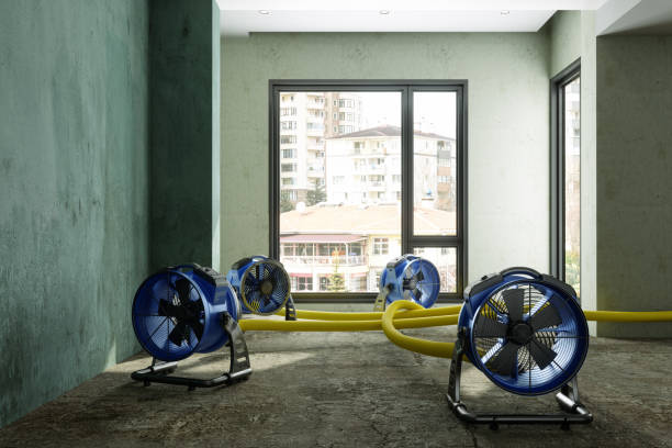 Best Flood restoration services  in Lukachukai, AZ